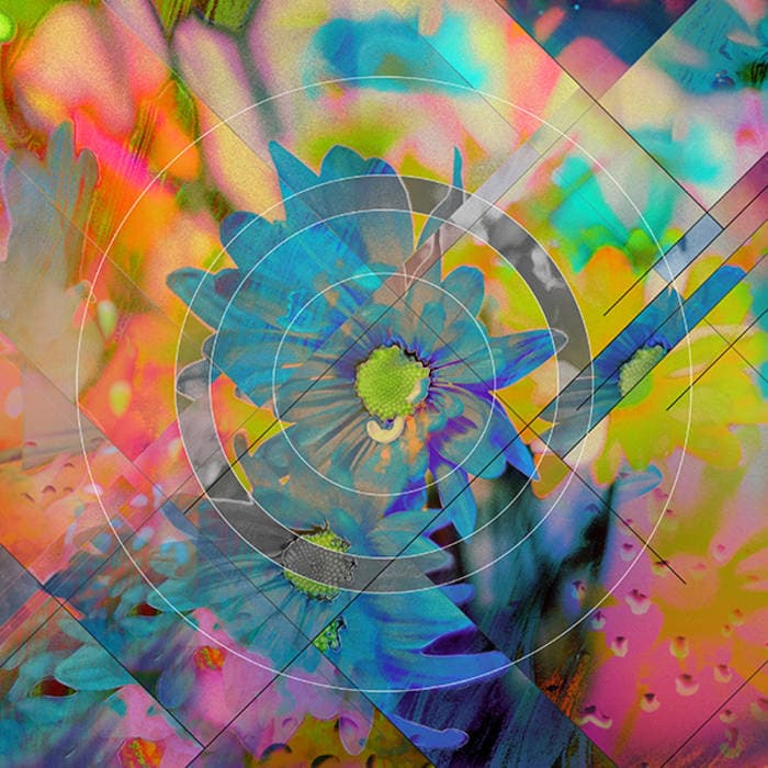Brush cover art